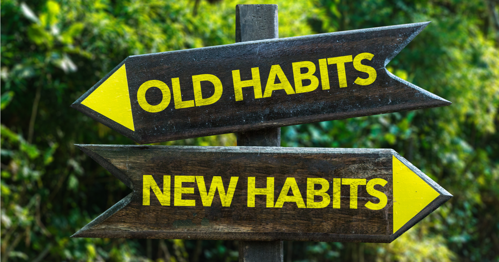 9 Important SEO Habits You Should Adopt Now