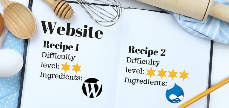 WordPress vs. Drupal: How to Choose a CMS for Your Business