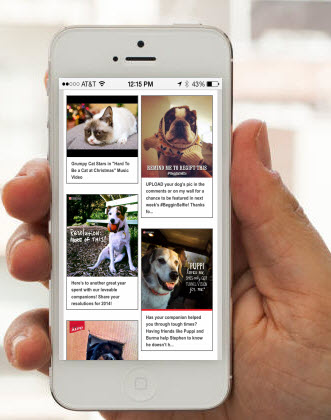 Visual Content Marketing and Most-Searched Retail Brands