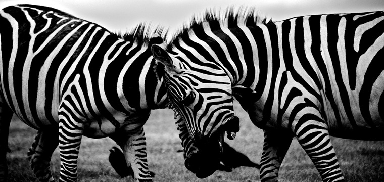 The Newest Bid Strategy for Outranking Competitors | SEJ