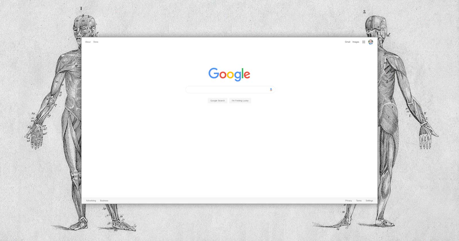Anatomy of a Webpage: How to Maximize SEO Impact