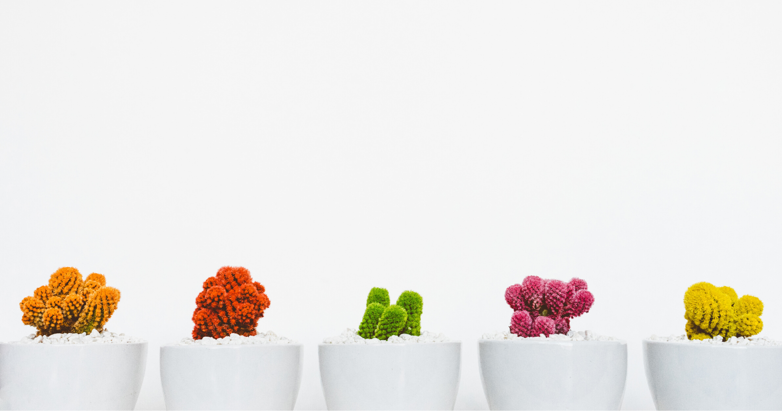 6 Reasons Why More Content Isn't Better (It's Actually Worse!)