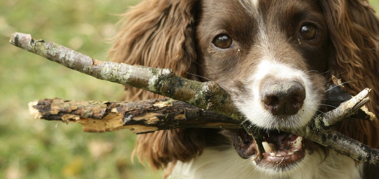 Fetch As Google Is Getting Better, Now Renders Pages As Googlebot Sees Them