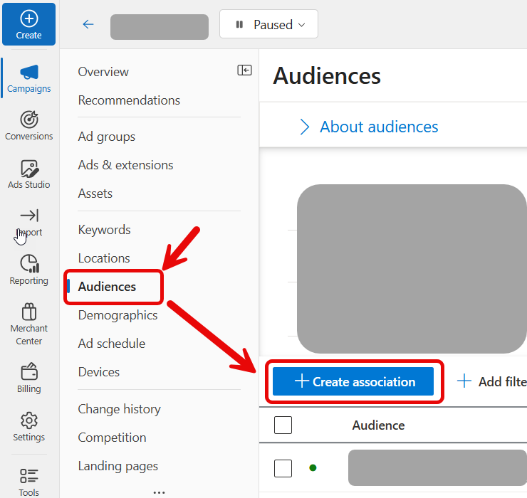 Microsoft audience targeting options