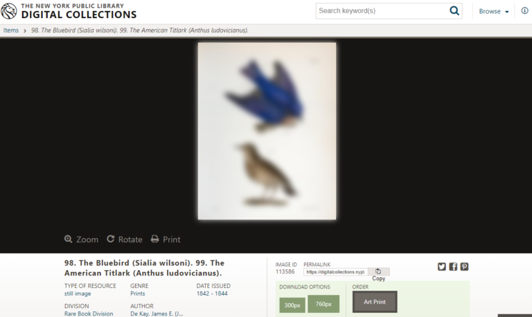 DigitalCollections.nypl.org