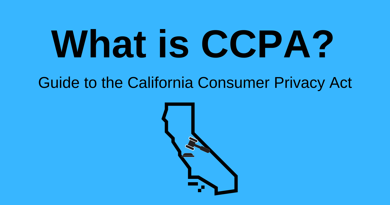 What Is CCPA? Everything You Need to Know to Become Compliant